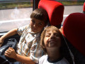2006 Sommer